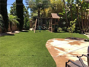 Flow 75 Pet Turf Installed